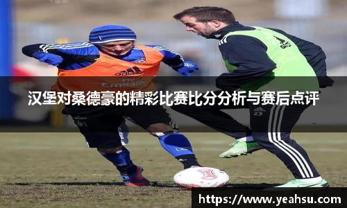 汉堡对桑德豪的精彩比赛比分分析与赛后点评